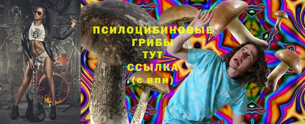 прущие грибы Белоозёрский