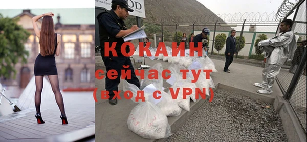 прущие грибы Белоозёрский