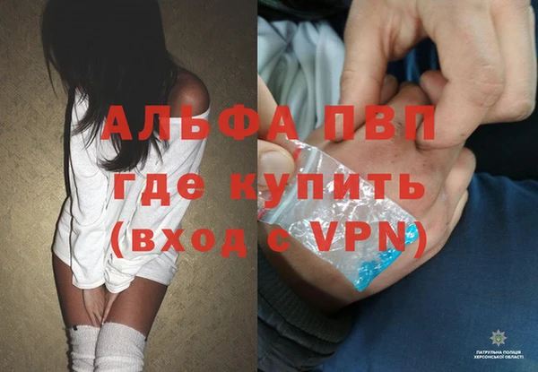 прущие грибы Белоозёрский