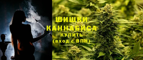 прущие грибы Белоозёрский