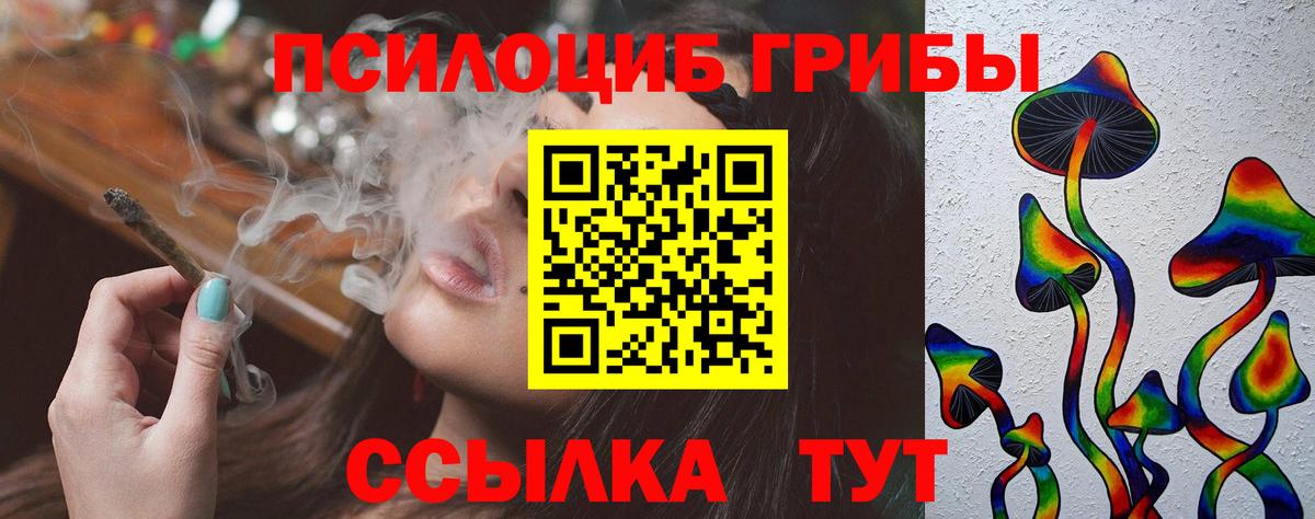 Галлюциногенные грибы Magic Shrooms  Псилоцибиновые грибы прущие грибы  где можно купить   Вязники  Вход с VPN 