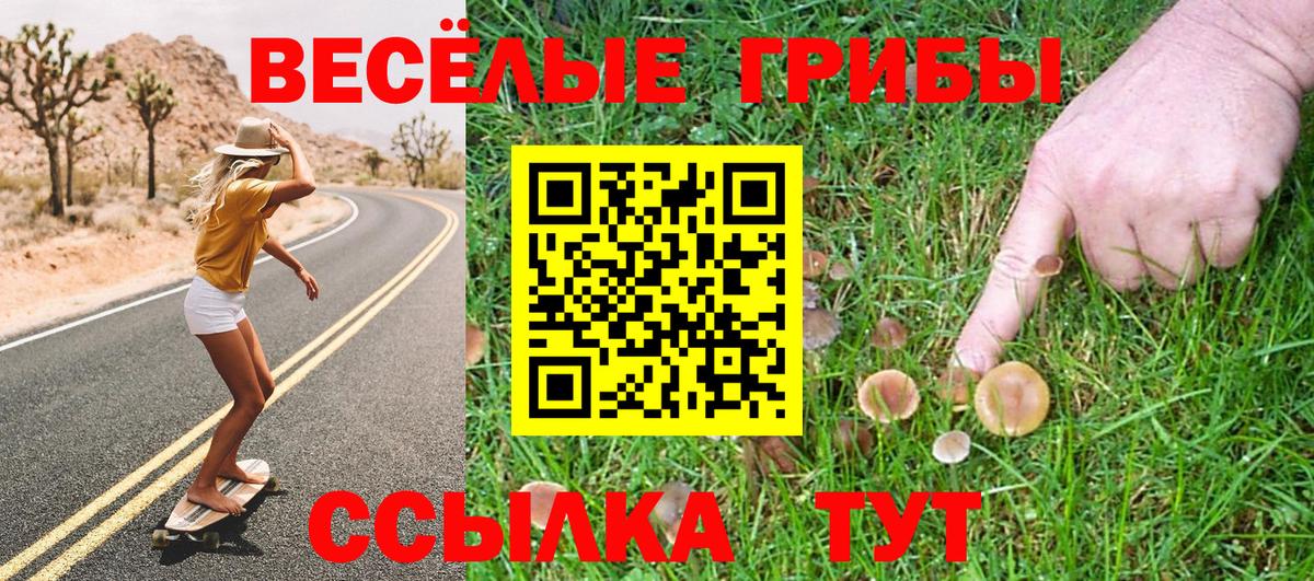 Псилоцибиновые грибы GOLDEN TEACHER Вязники